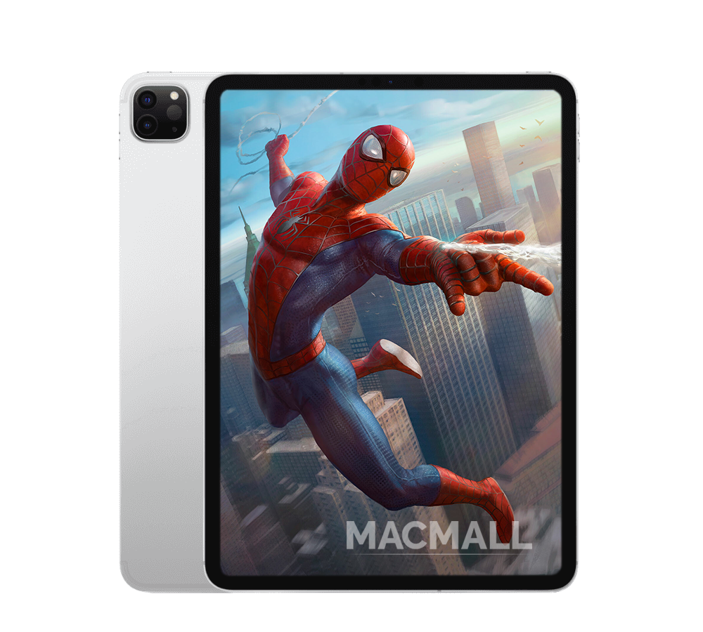 iPad Pro M1 11-inch 2021 / 256GB / Wifi + Cellular